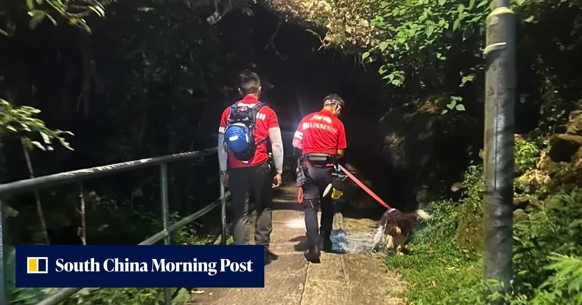 Missing man, 58, found dead in Ma On Shan after days-long search effort