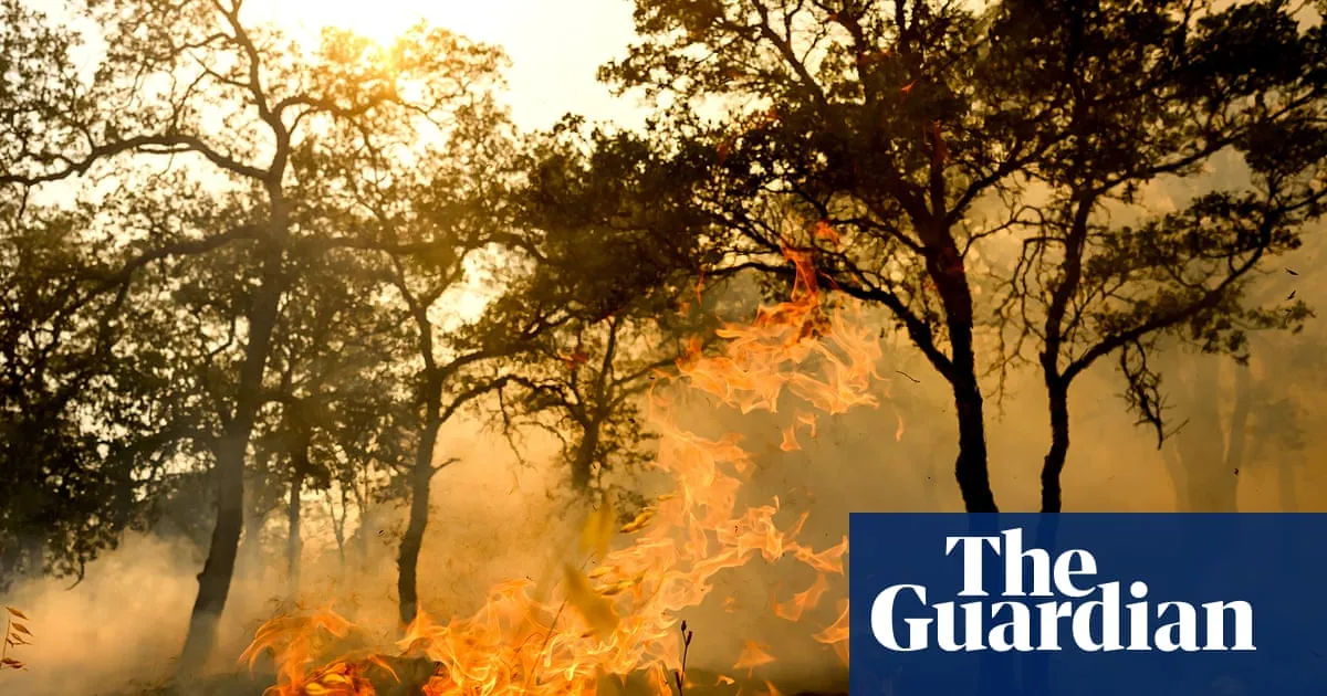 At least one person dead in California wildfire allegedly sparked by chainsaw