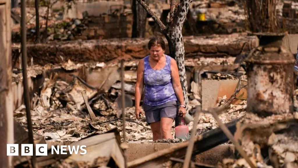 Scale of devastation shocks US city's fire-seasoned residents