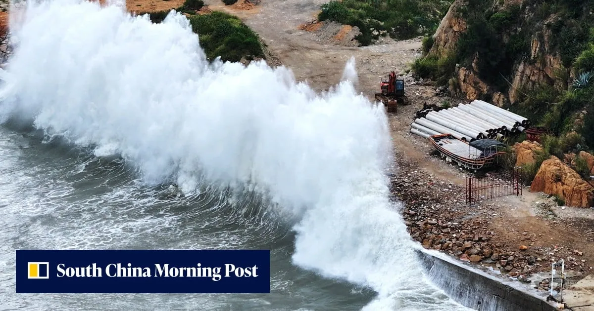 Red alert: Shanghai cancels 60% of flights as Typhoon Dolphin closes in