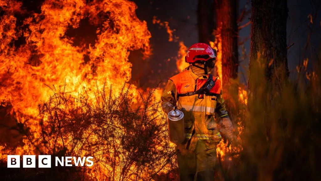 Hundreds arrested over French wildfires, but who is to blame?