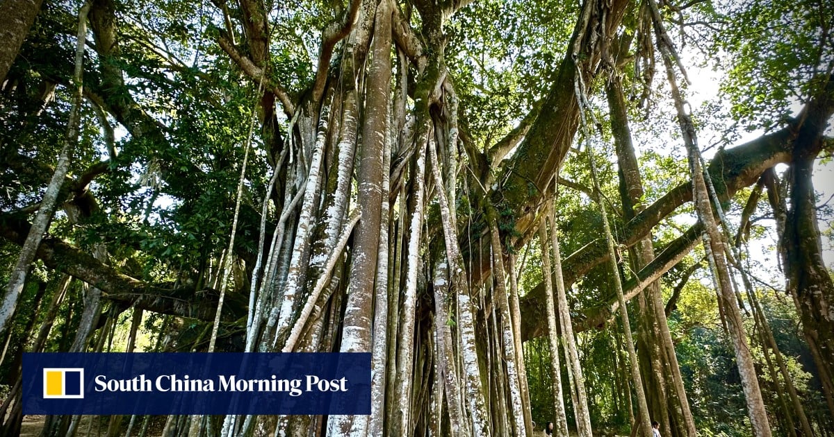 Move between worlds: A brighter future unfolds at the intersections