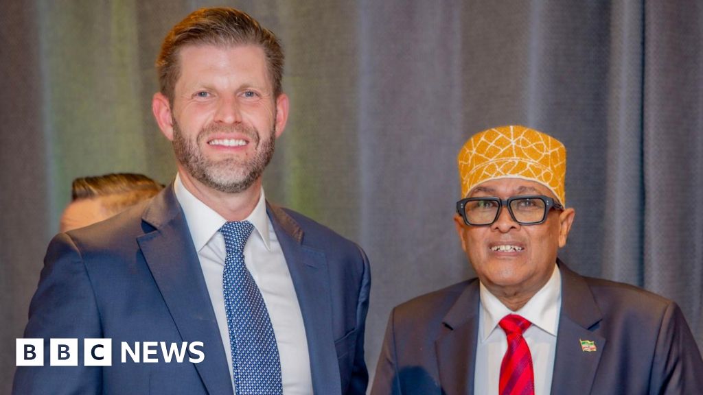Somaliland president pitches business opportunities to Trump's son