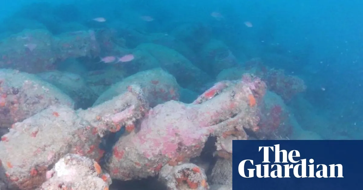 Roman shipwreck with 500 amphorae found off coast of Sicily