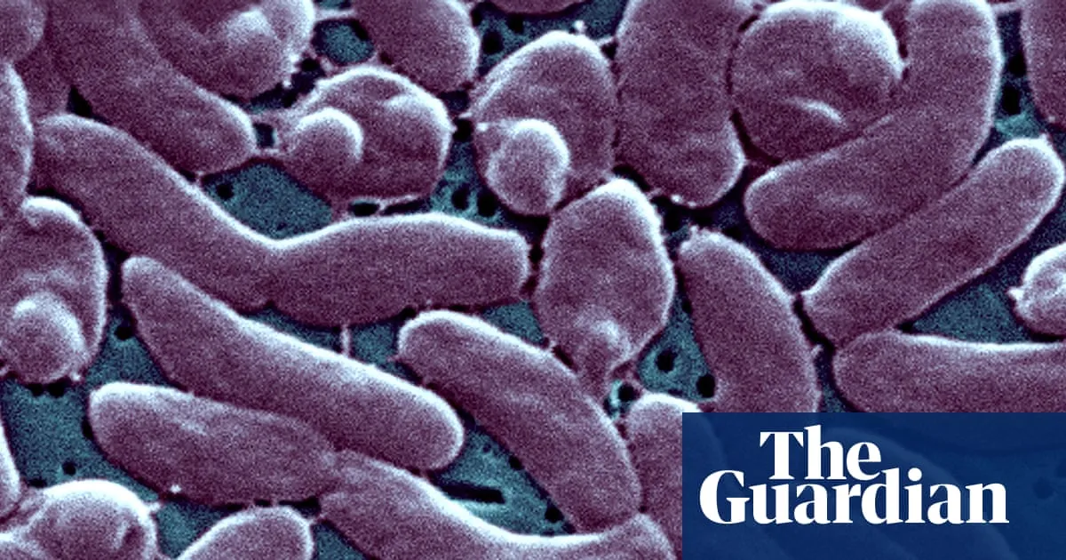 Louisiana warns beachgoers amid surge in flesh-eating bacteria infections