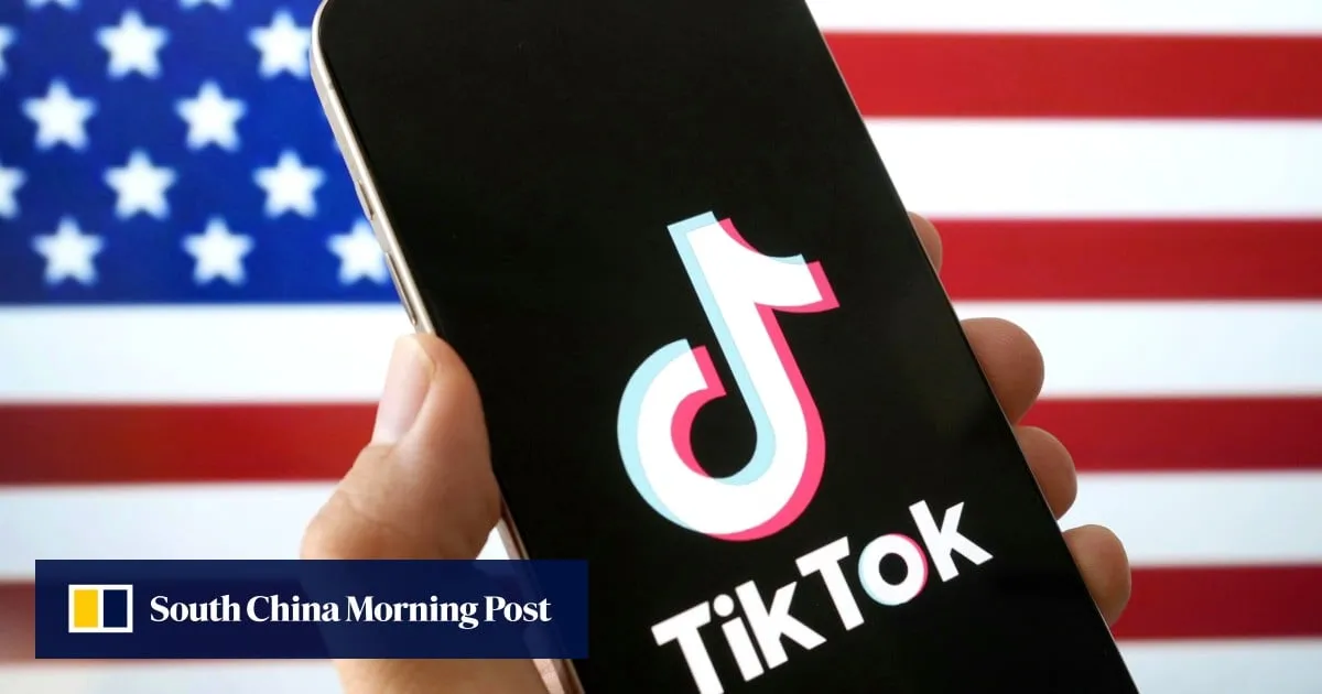 Who are the owners of the new TikTok US entity?