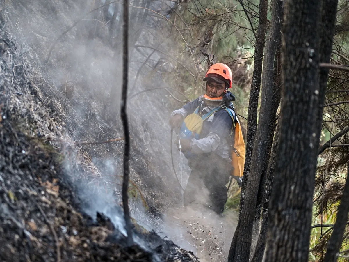Wildfires burn across Indonesia as officials cite El Nino as a cause