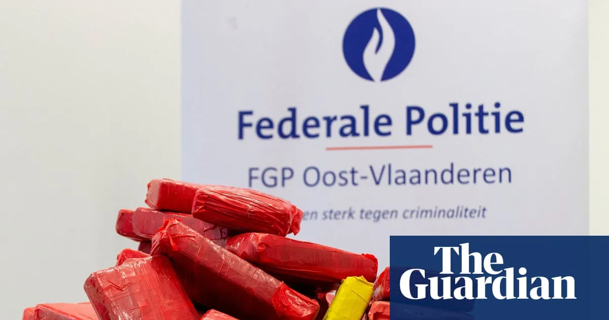Gangs using Airbnb-type rentals as drug stash houses, top Belgian official says