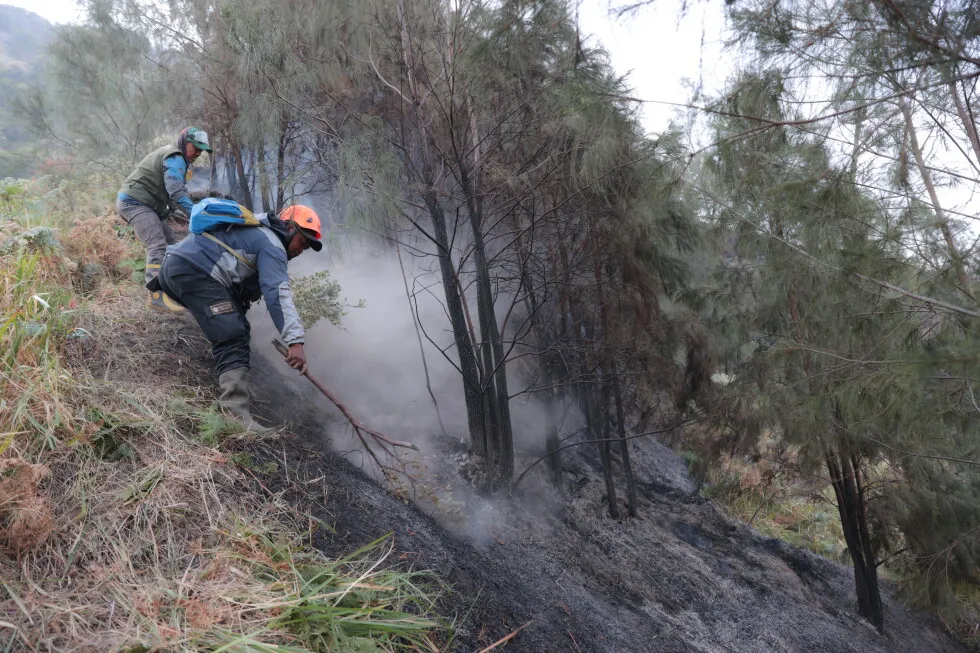 Wildfire at Indonesia’s Mount Bromo mostly contained as smoke forces school closures