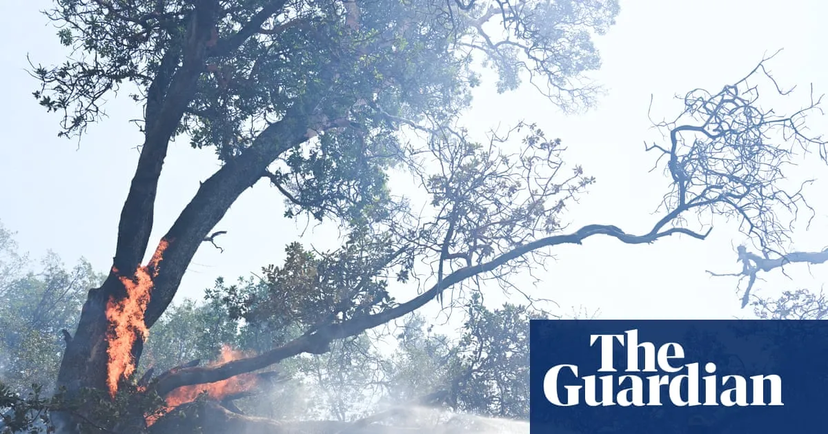 California’s Big Sur sees evacuation orders as Timber fire grows