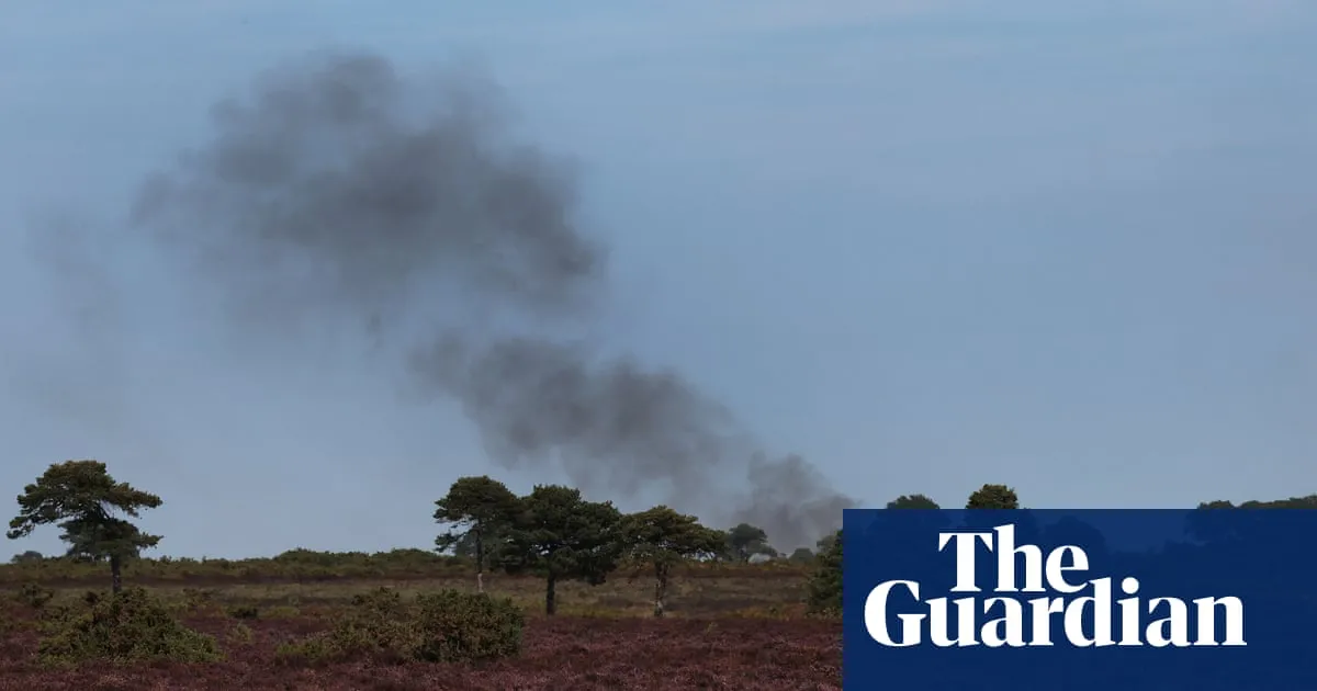 ‘Real struggle’ to tame New Forest blaze as UK set for hottest summer on record