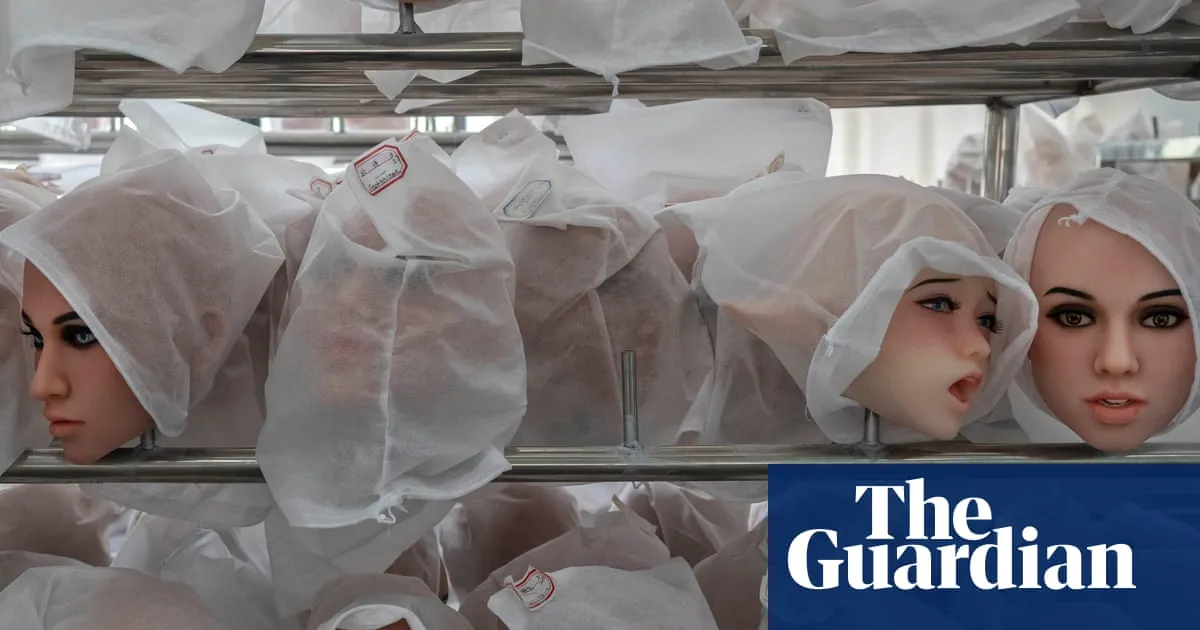 A ‘body’ found in a suitcase was actually a sex doll. How did NSW police get it so wrong?