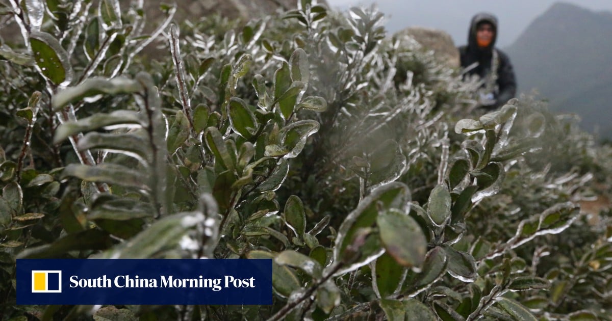 In 2016, Hong Kong shivered through coldest day in 6 decades – SCMP archive