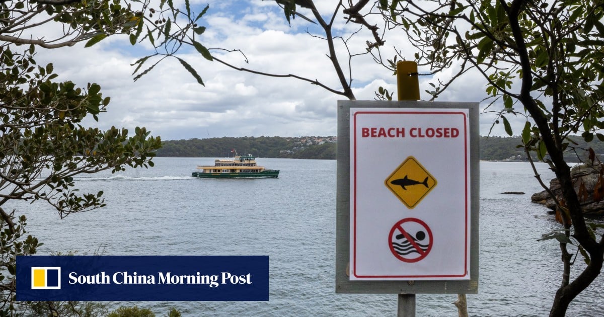 Australian boy, 12, dies a week after shark attack in Sydney Harbour