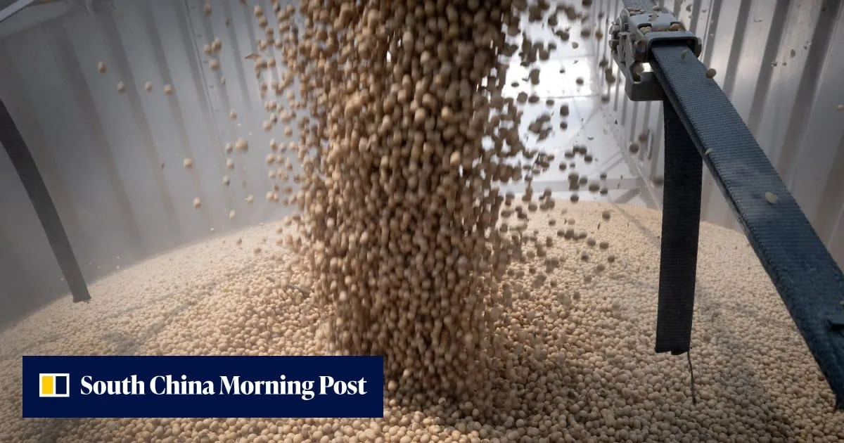 Fearing deflated China demand, US soybean growers pivot to new buyers and biofuel