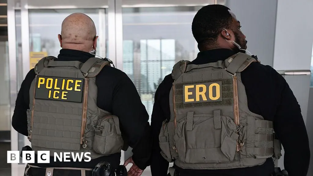 US immigration officers to be equipped with gloves that deliver electric shocks