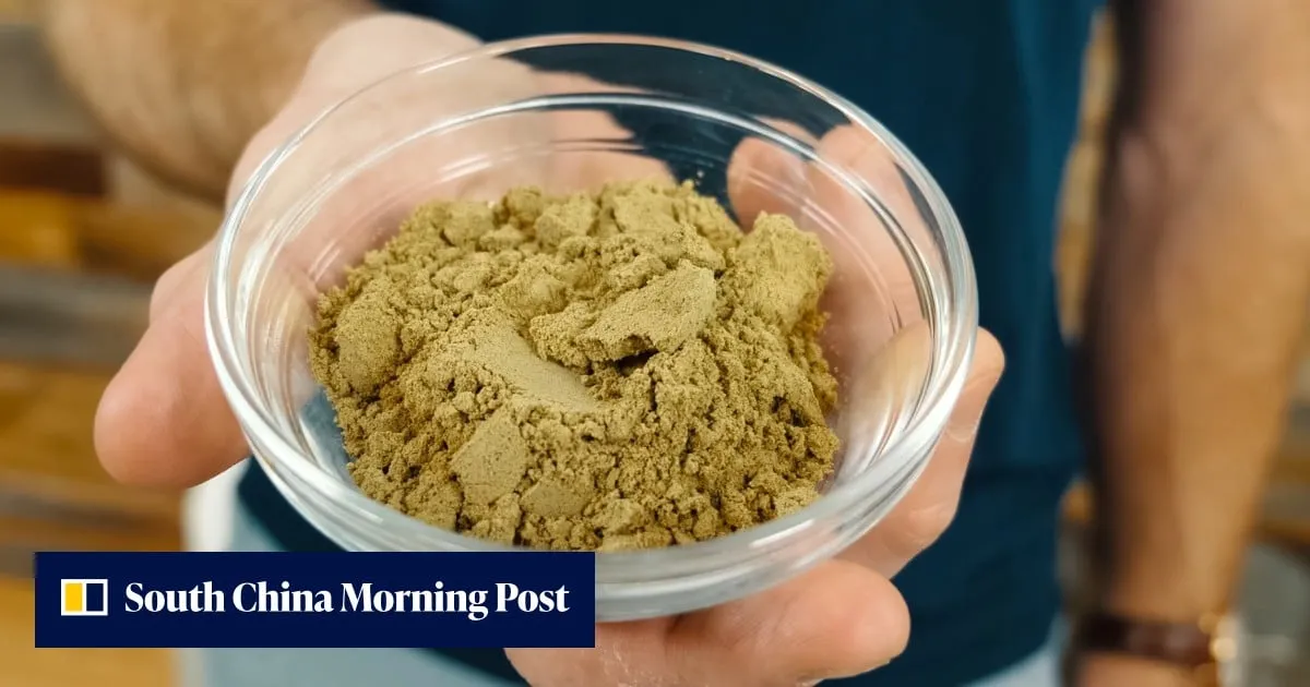 Chinese yeast factory boosts cancer drug production speed 1,000 times