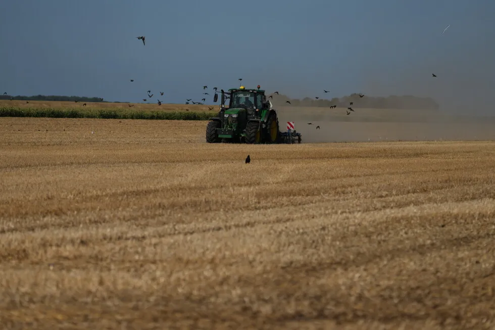 A punishing European drought shrivels crops from Dutch potatoes to Bosnian corn