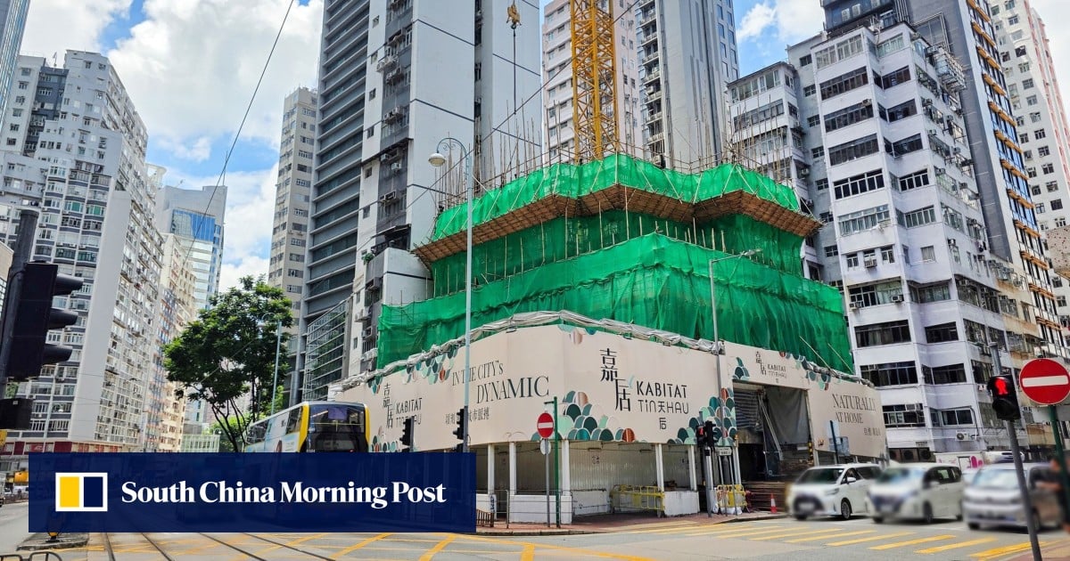 Hong Kong homebuyers keep up robust demand as new launches draw brisk sales