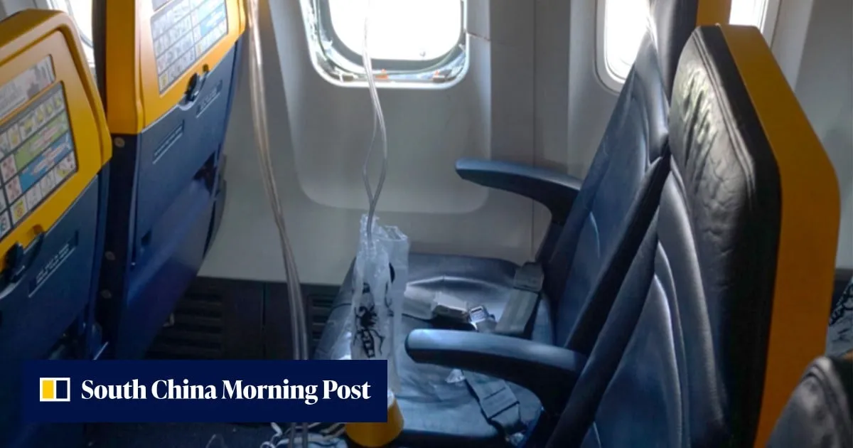 Bird remains found in engine after man nearly sucked out of window on Ryanair flight