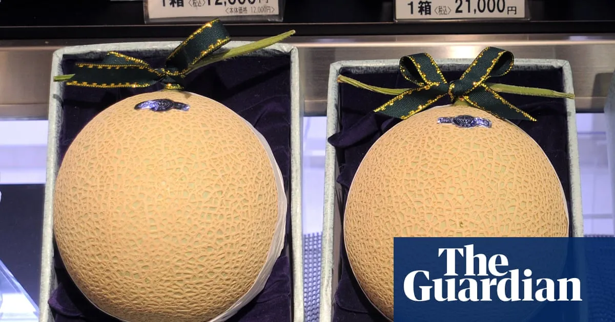 Australia has been galvanised by ‘melon-gate’. So what is the luxury fruit at the centre of the PM’s controversy?