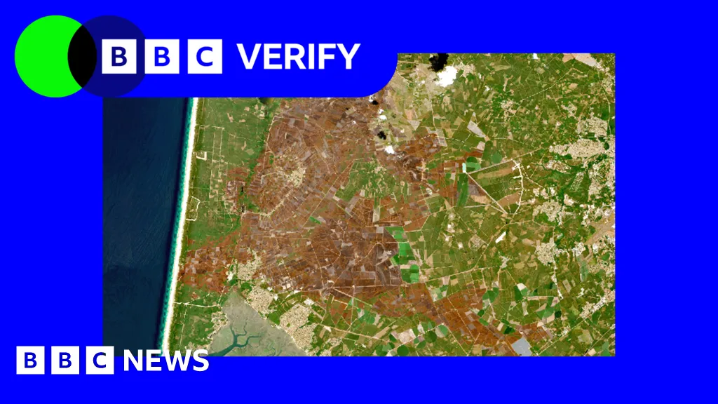 Europe's scorched landscapes seen from space after summer heatwaves