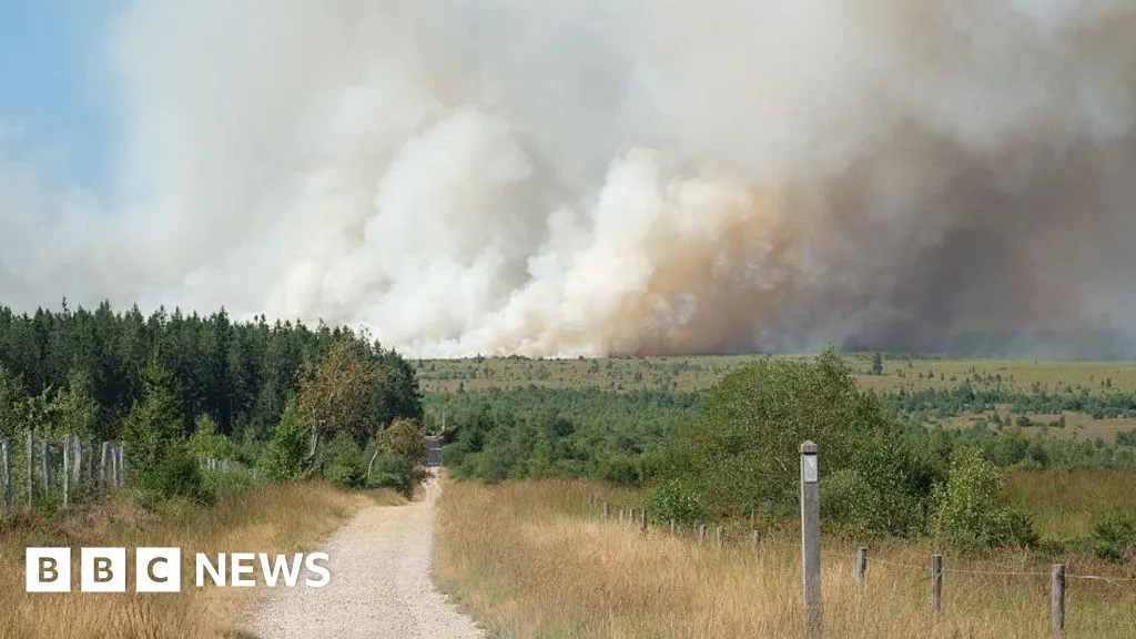 Firefighters battle wildfire tearing through Belgian nature reserve
