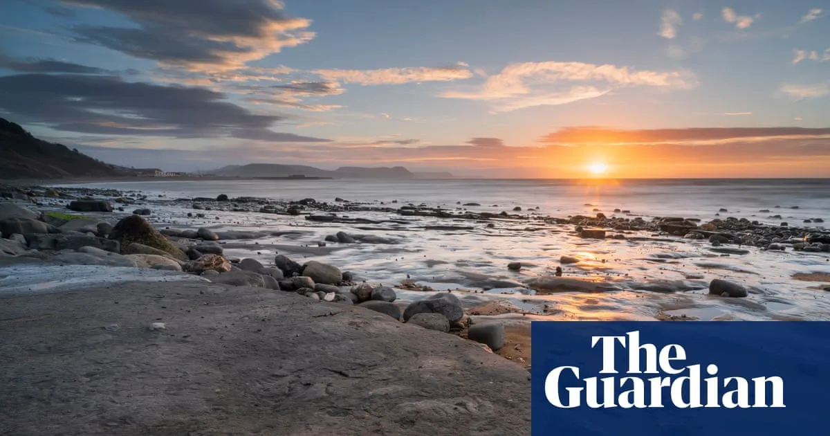 Block export of ‘national treasure’ UK fossils, says MP