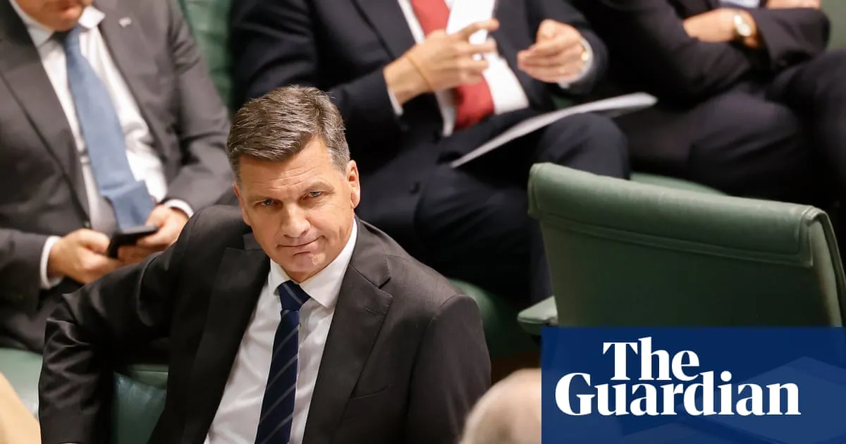 Taylor demands Albanese repeal ‘cruel tax’ in return for NDIS bill support