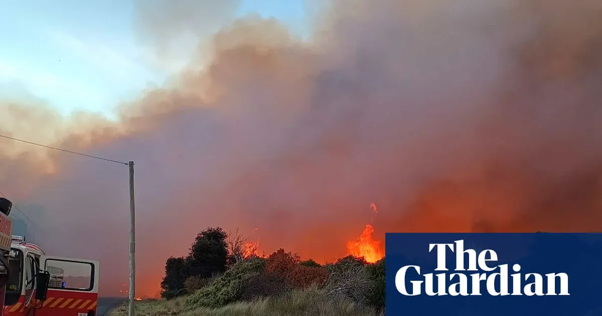 Sydney records hottest temperatures in nearly two years amid heatwave as Tasmanian bushfires threaten homes