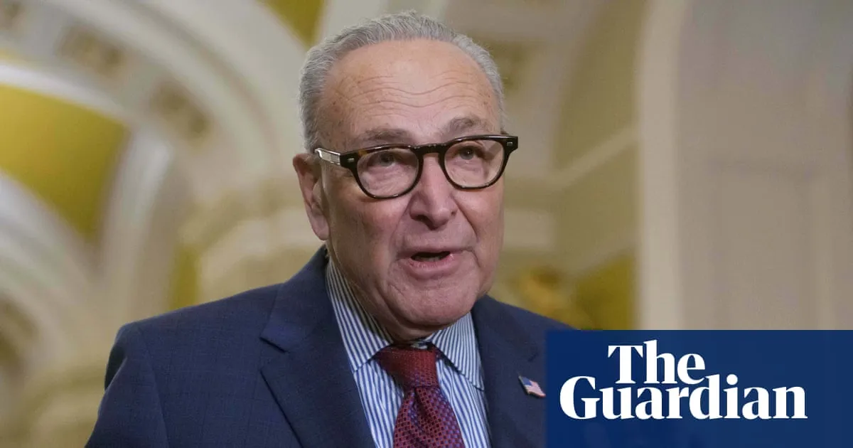 Schumer: Democrats will block funding package if it includes homeland security money