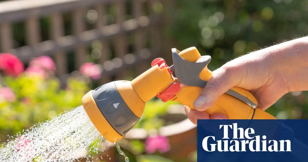 Heavy rain forecast will not reverse widespread drought conditions in UK