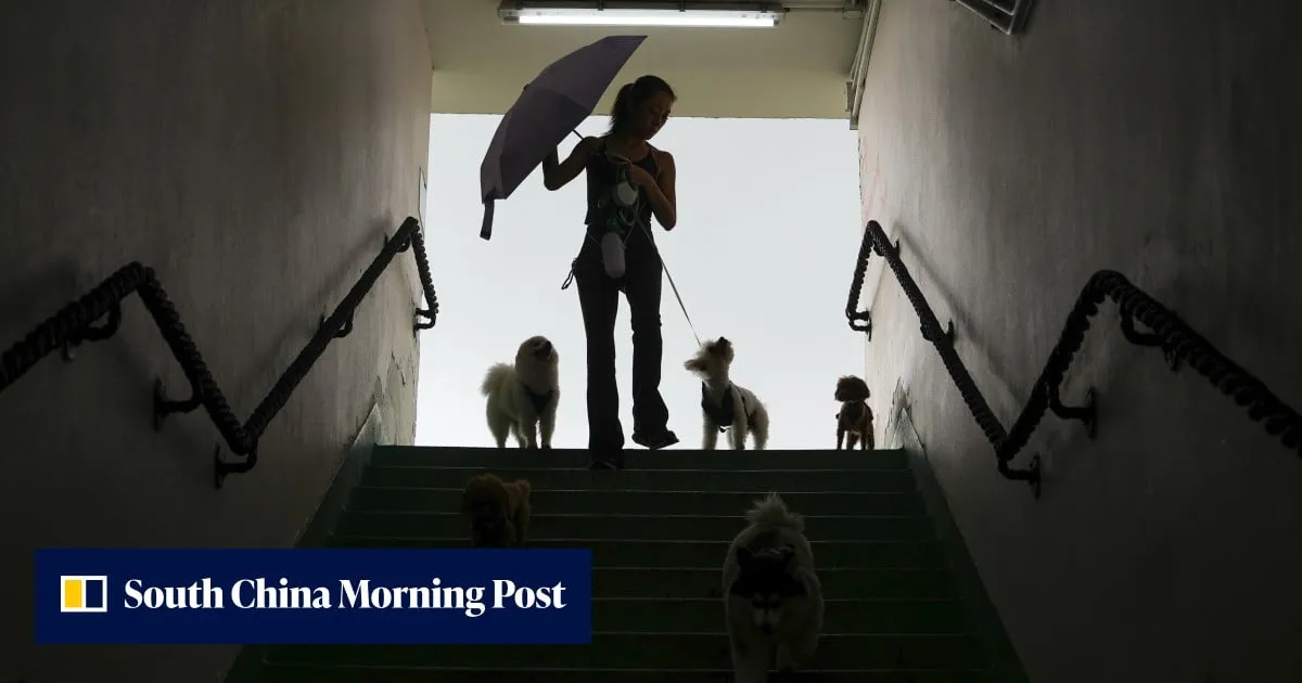 When prey instinct strikes: fast ways to save small pets from big dogs
