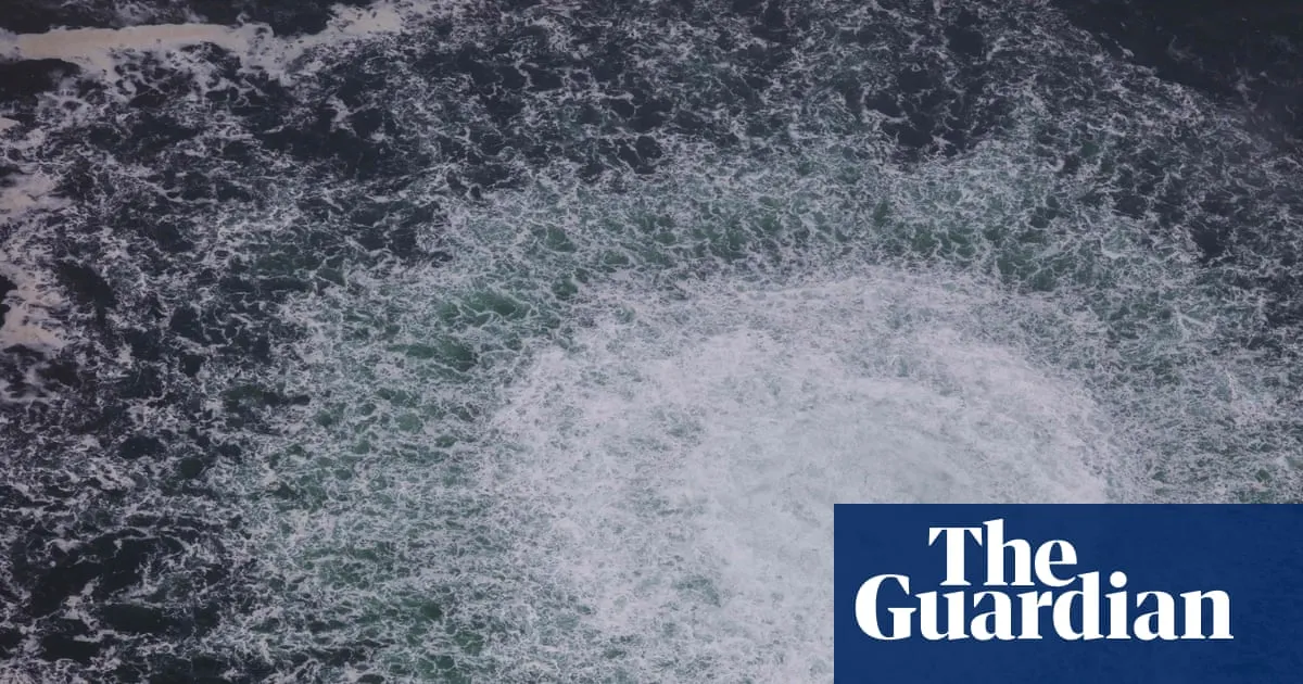 Ukrainian diver arrested in Croatia over Nord Stream pipeline bombings