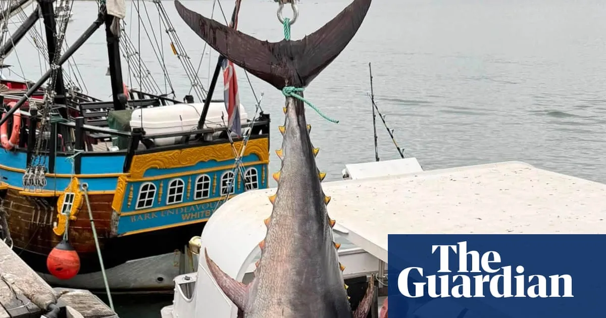 First bluefin tunas caught off Yorkshire since 1960s ‘success story’ for marine conservation
