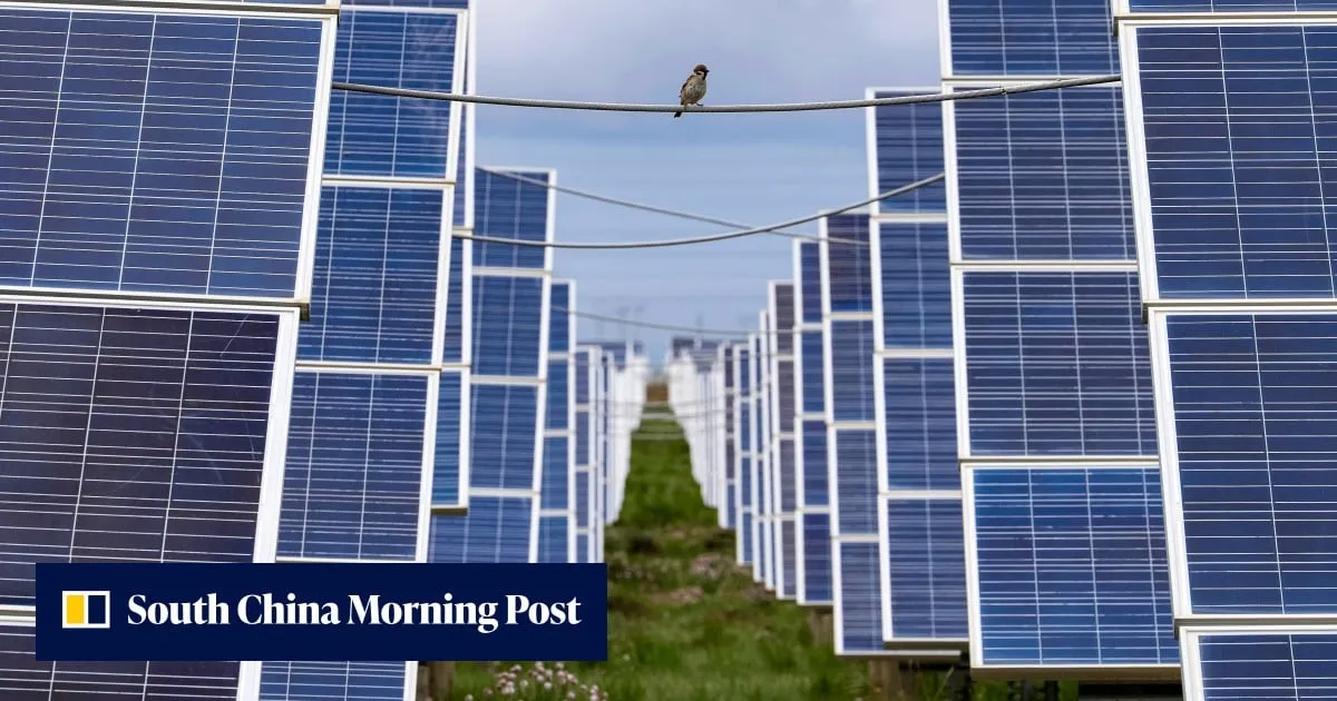 International study finds solar panels in China could be harming birds