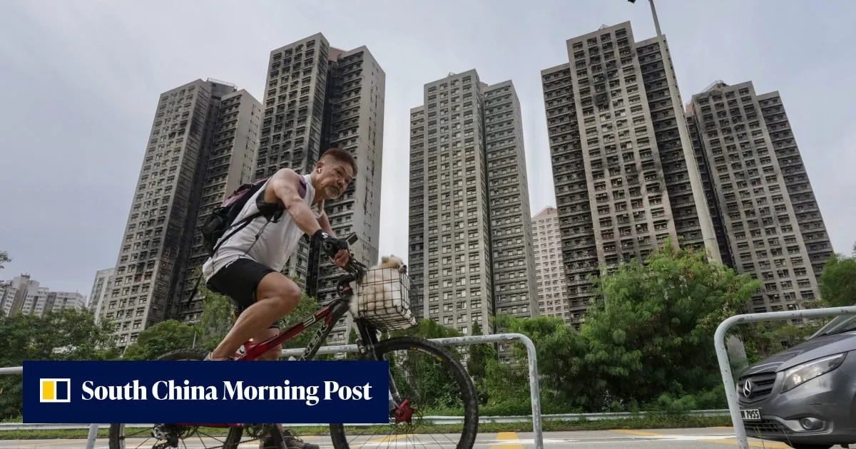 Government still weighing decision on restricting proxy voters, Hong Kong official says