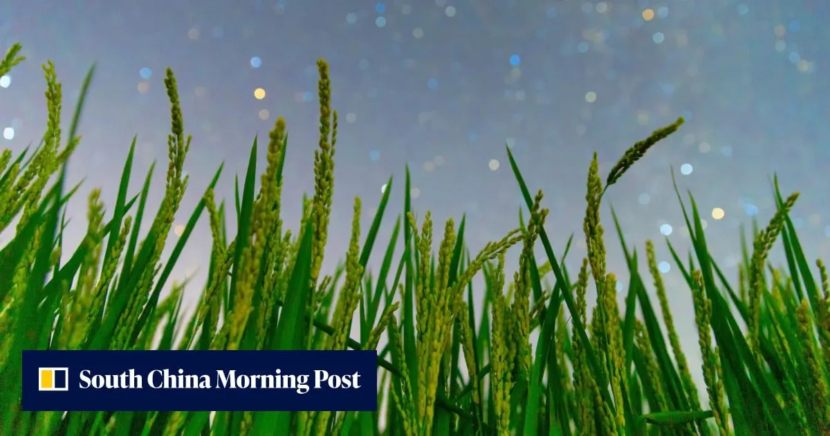 China builds world’s first custom plant immunity system for epidemic response