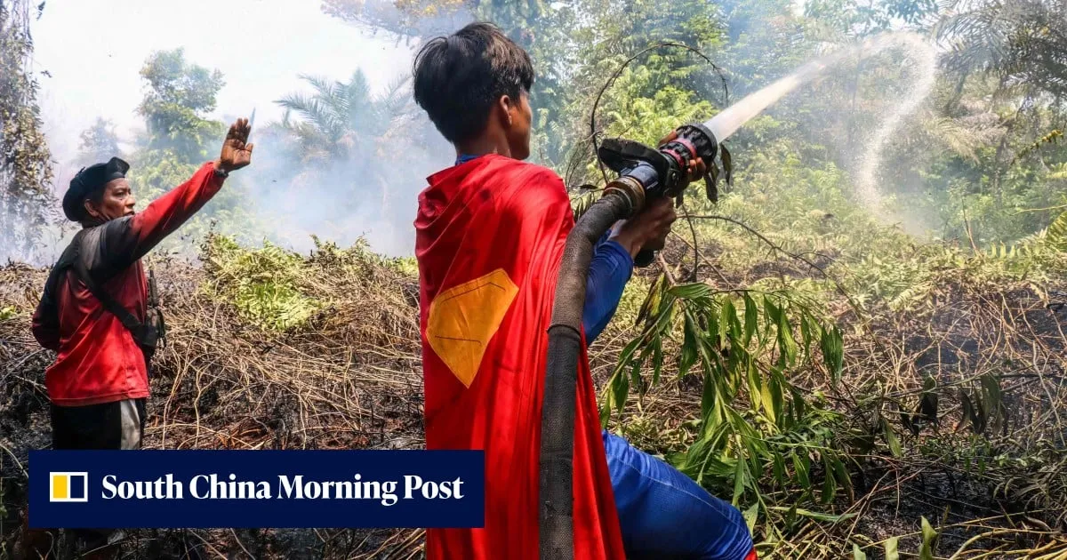 Indonesia teen with ‘Superman’ cape fights haze fires, minister hails ‘forest hero’