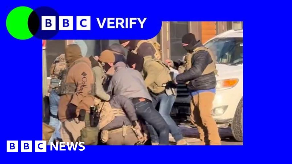 Analysing the Minneapolis shooting frame by frame