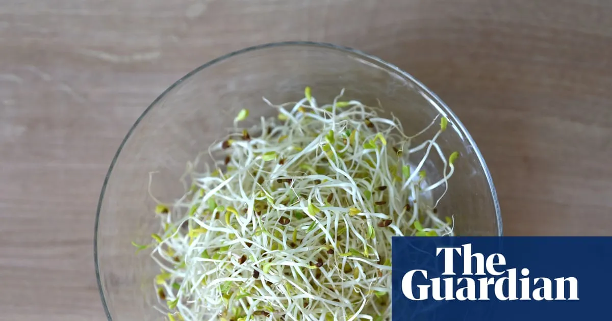 Alfalfa sprouts linked to food-poisoning outbreak in 15 states, US officials say