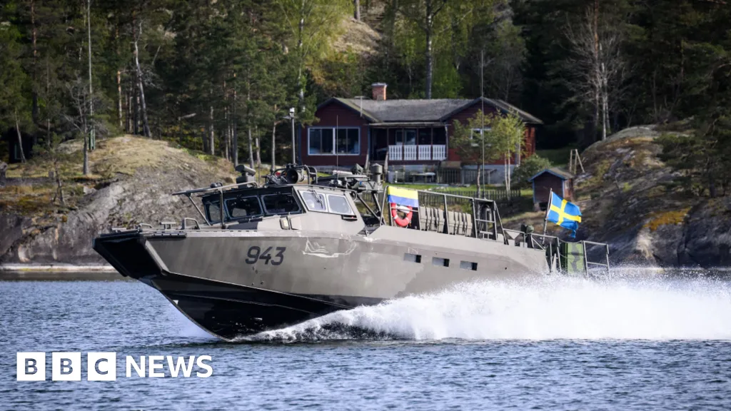 Swedish military seeks to take over Russian-owned estate near naval base 