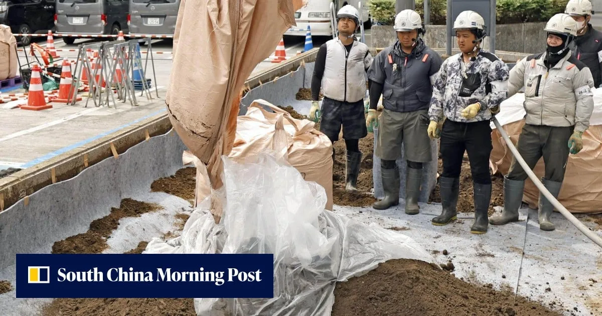Japan expands Fukushima soil recycling project to Sendai, Saitama