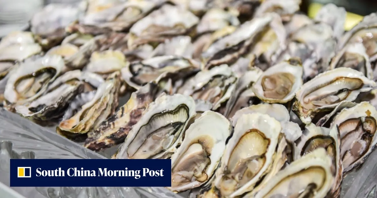 Shellfish thieves in Australia make off with 400,000 oysters worth US$250,000
