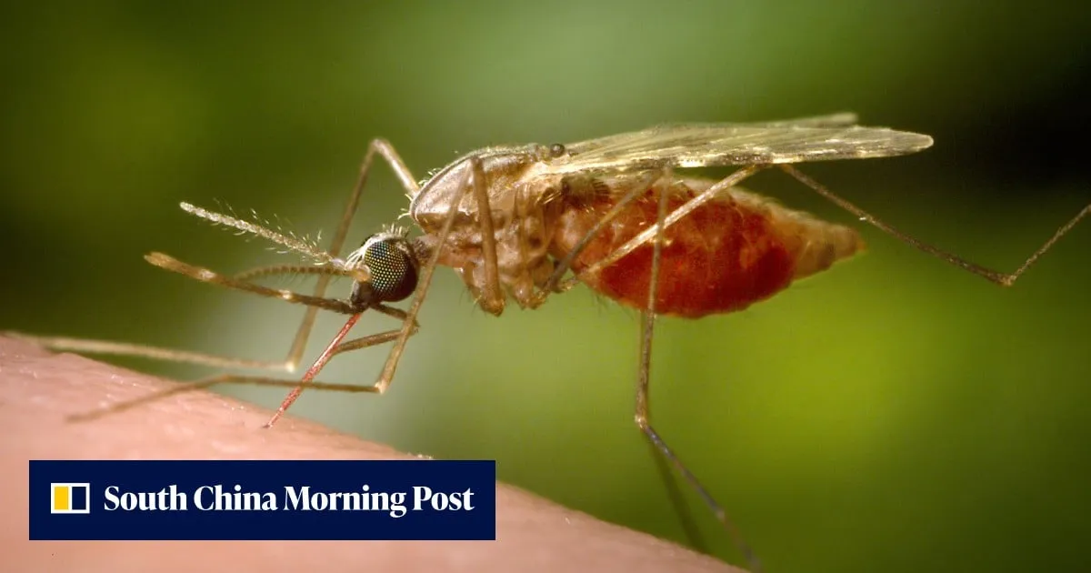 Two German airport workers die of malaria from mosquito on plane