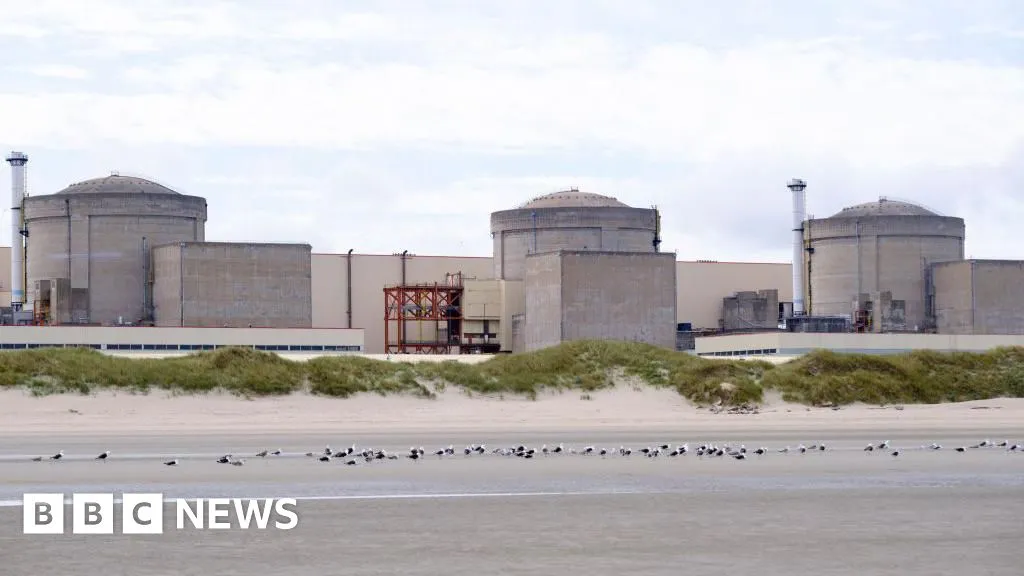 Jellyfish force partial shutdown of French nuclear plant