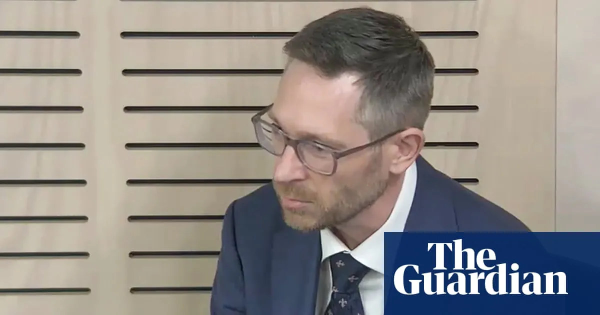 ‘We execute the prick’: wife can’t say if Charles Perrottet text was plotting downfall of NSW Liberal minister, Icac hears