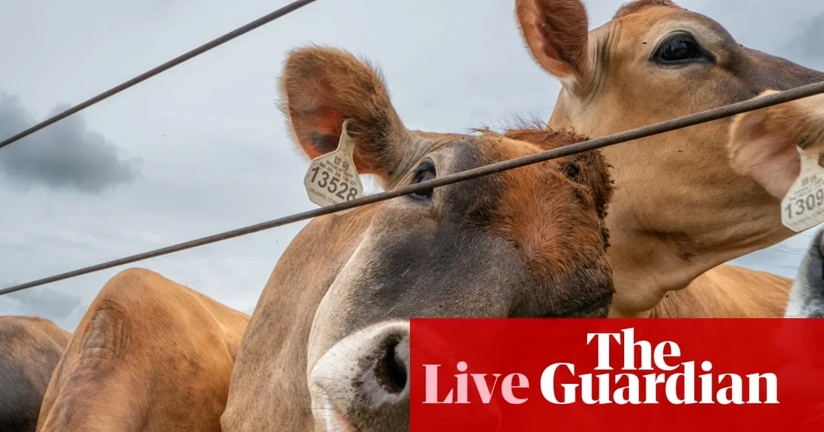 Swift appeal likely as judge blocks Trump mail voting order – US politics live