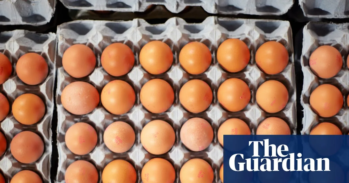 Salmonella cases in UK likely to rise until source of outbreak is found