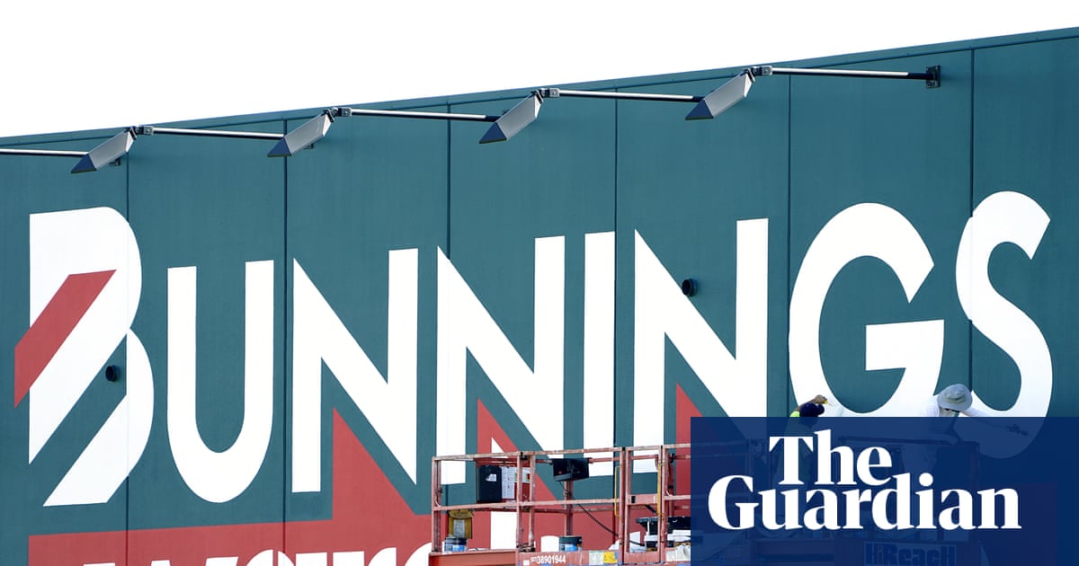 Bunnings accused of ‘greenwashing’ timber amid concerns about supplier’s illegal logging